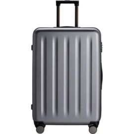 Чемодан «Ninetygo» Danube Luggage 20", 120504, grey,  S(20")