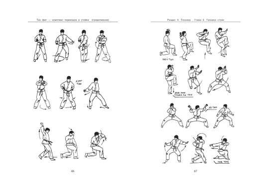 Вьетводао-Вовинам: от начинающего к черному поясу, самоучитель.