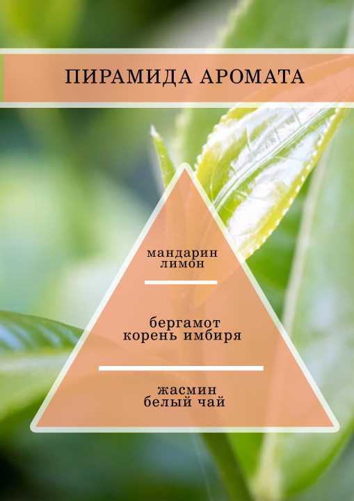 Аромамасло, Отдушка универсальная, Парфюмерно-косметическая Белый чай 30 гр