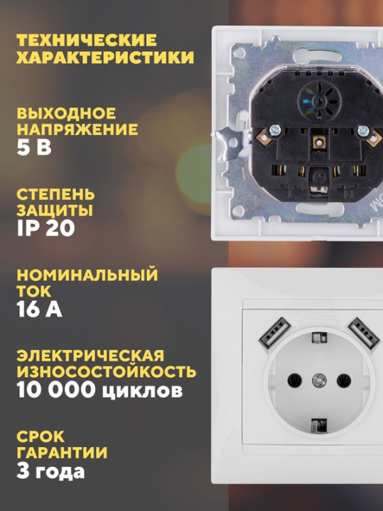 Розетка 2П+З 16А 250В + 2 USB порта 2,1А 5В старинная бронза "Лама" TDM SQ1815-0772