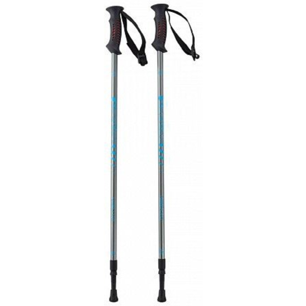 Палки для скандинавской ходьбы «Berger» Oxygen, 2-секционные, 77-135 см, серебристый/голубой
