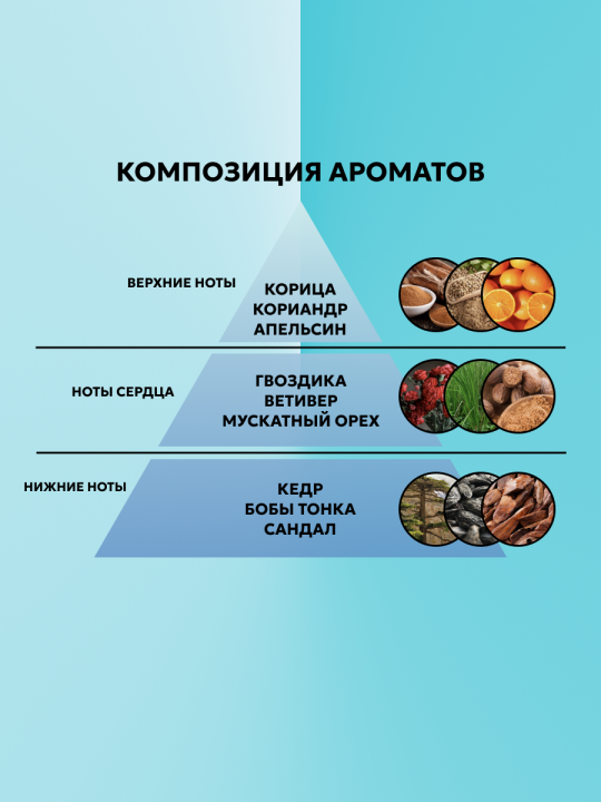 АромаДиффузор для дома с палочками TORTUGA 85 мл