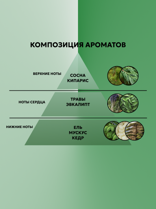 АромаДиффузор Areon для дома с палочками Nordic Forest 85 мл