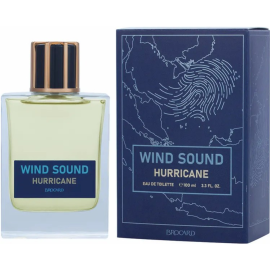 Туалетная вода мужская «Brocard» Wind Sound Hurricane, 100 мл