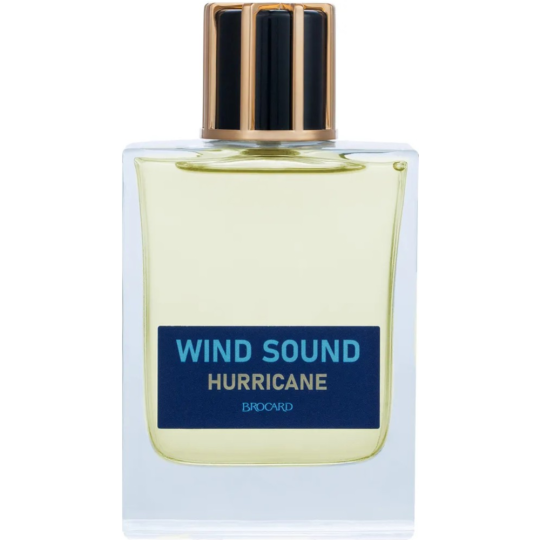 Туалетная вода мужская «Brocard» Wind Sound Hurricane, 100 мл