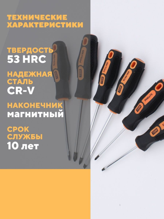 Набор отверток 6шт: SL:3x75, 5x100, 6х100, PН:0x75, 1x100, 2х100 (пласт.чемодан), CR-V  "Алмаз" TDM SQ1013-0205