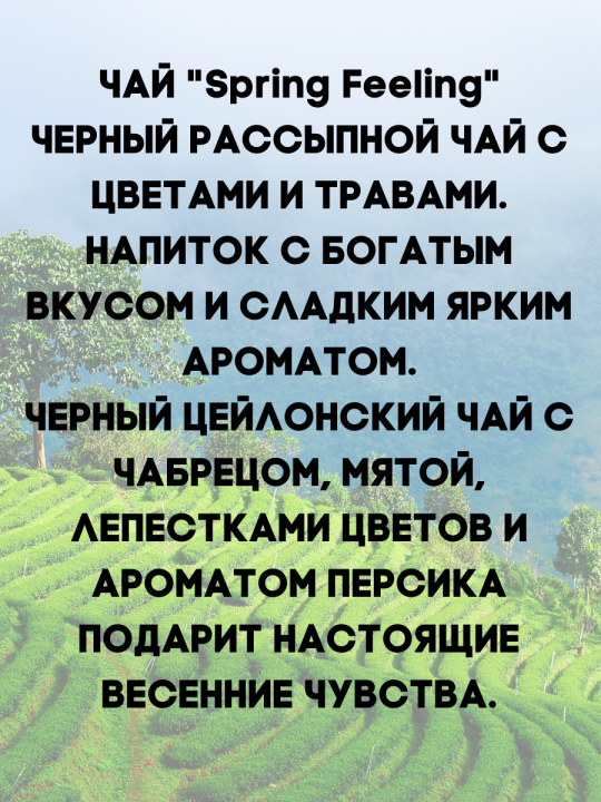 Чай черный листовой с Чебрецом «Мономах» Спринг филинг / 80гр.