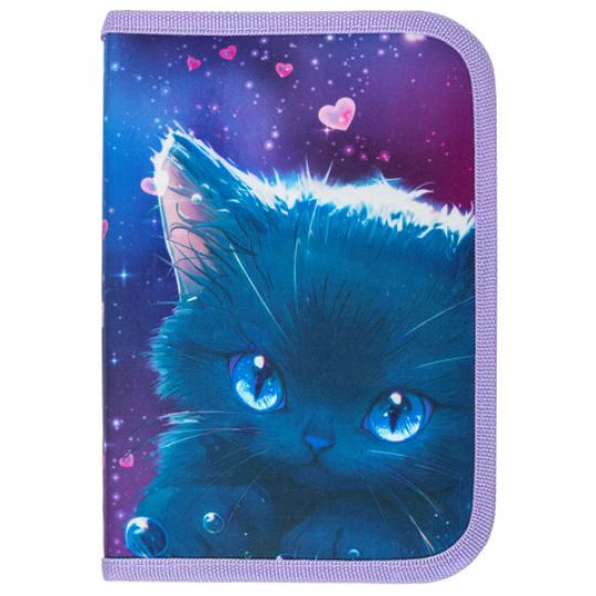 Пенал BRAUBERG, 21х14 см, "Anime cat", 272322