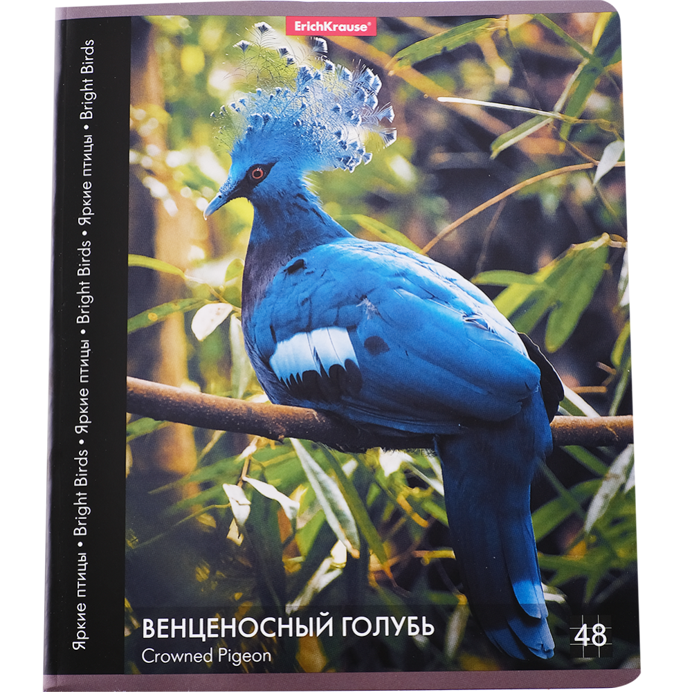 Тетрадь общая «ErichKrause» венценосный голубь, в клетку, 48 листов