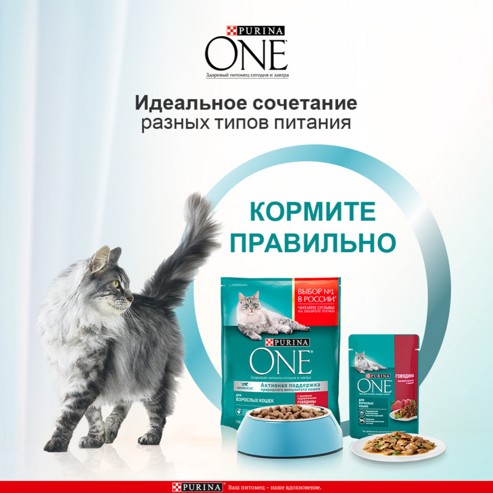 Уп. Корм для кошек «Purina One» с говядиной, 26х75 г