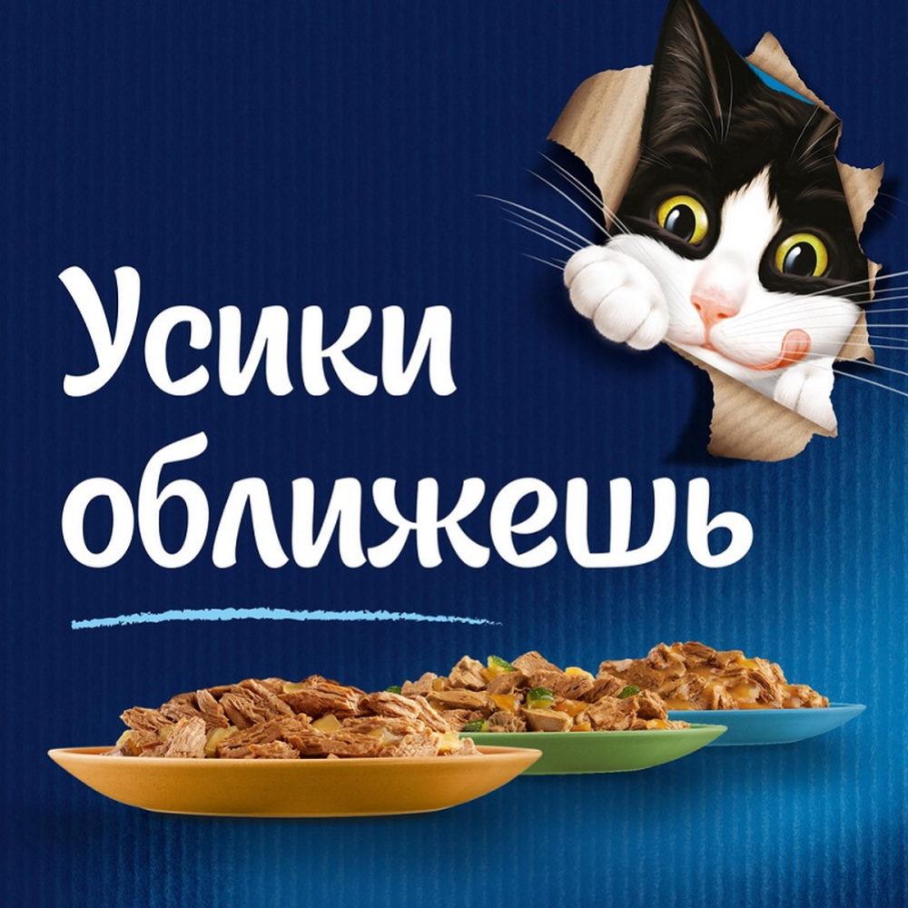 Уп. Корм для кошек «Felix Sensations» говядина в соусе с томатами, 26х75 г #3