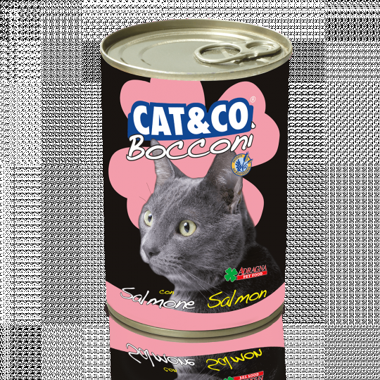 Консерва для котов Adragna Cat&Co кусочки лосося в соусе 400гр * 6шт