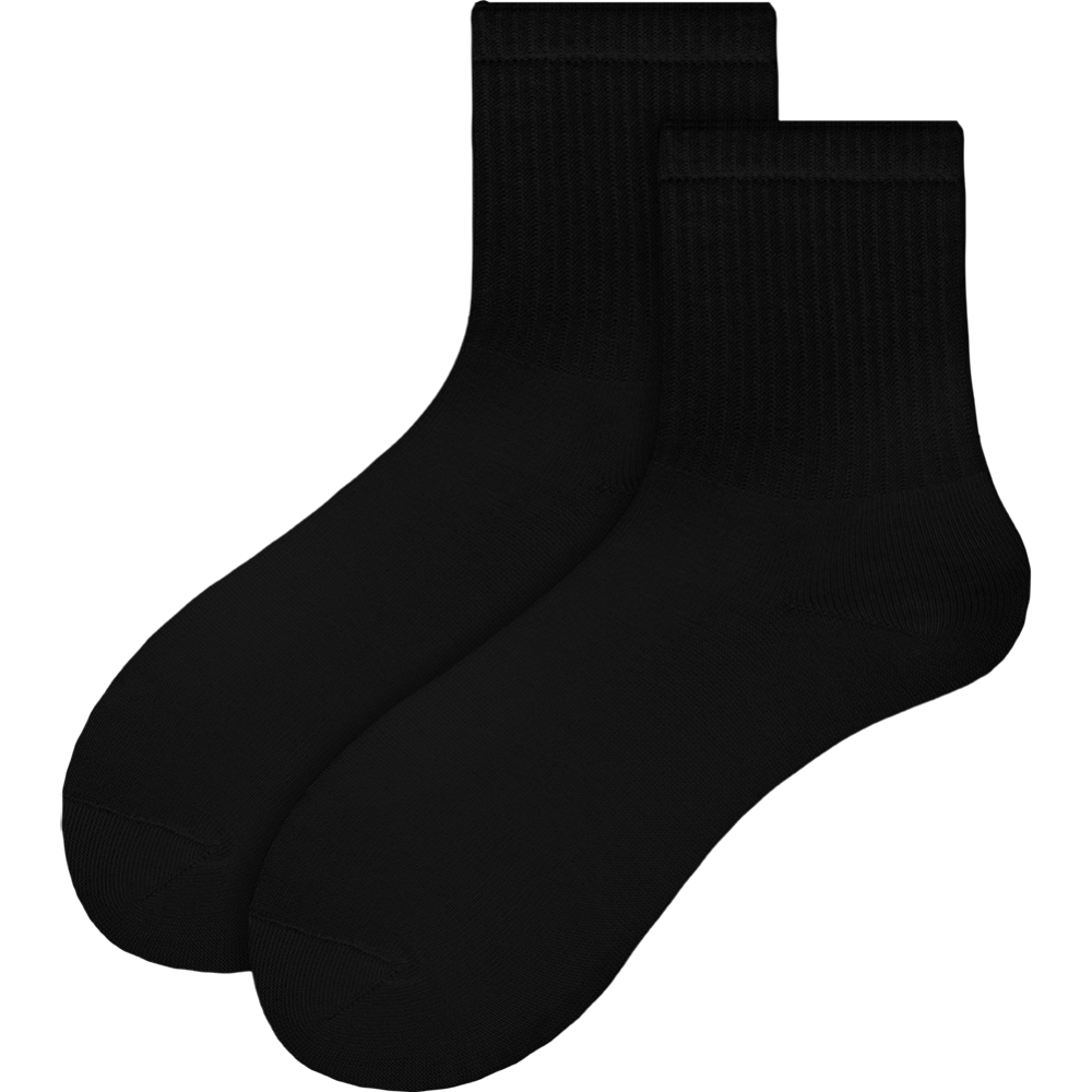 Носки мужские «Chobot» 42-106, черный, размер 25-27