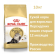 Сухой корм Royal Canin Persian Adult для кошек,10кг