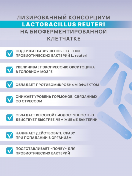 Панбиолакт Ментал Психобиотик для коррекции работы мозга путем воздействия на микробиом кишечника