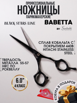 Ножницы прямые парикмахерские в чехле 6,00" Black Babetta, 312
