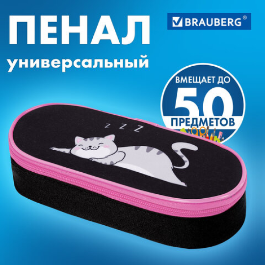 Пенал-футляр BRAUBERG, 1 отделение, органайзер, 22x9х5 см, "Don't wake up", 272311