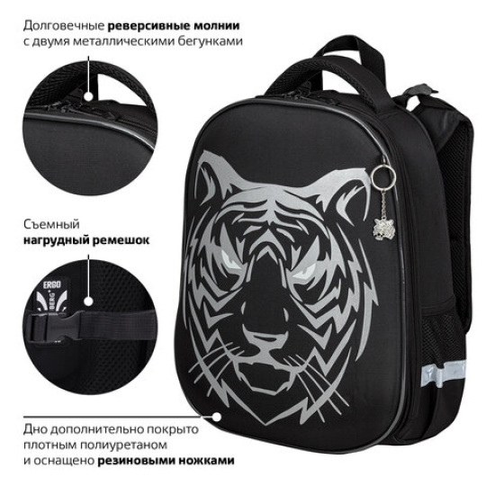 Рюкзак школьный 2 отделения, 38х28х14 см, с брелком,  BRAUBERG SHINY "Tiger", СВЕТЯЩИЙСЯ РИСУНОК, 270698