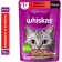 Корм для кошек «Whiskas» желе, говядина и ягнёнок, 75 г