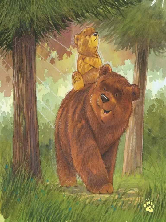 Старые медведи не умеют лазать по деревьям