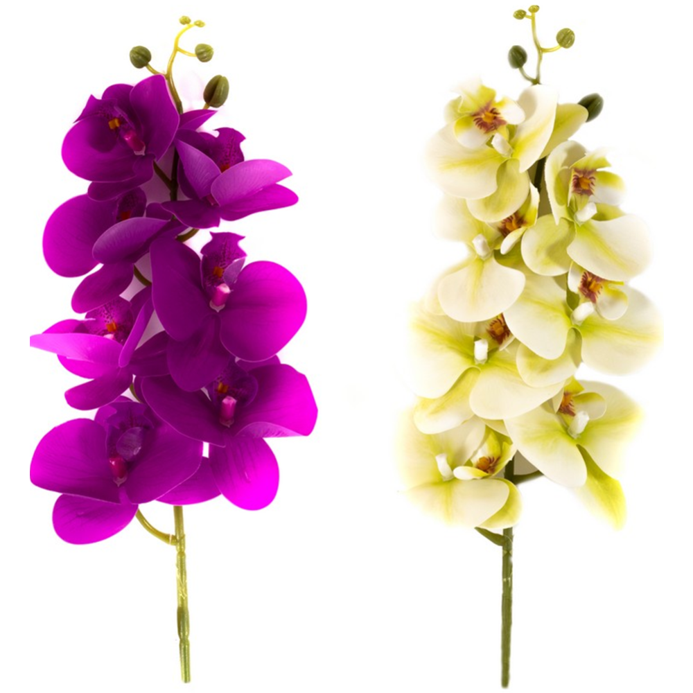 Цветок искусственный «Belbohemia» Орхидея, FLW22005