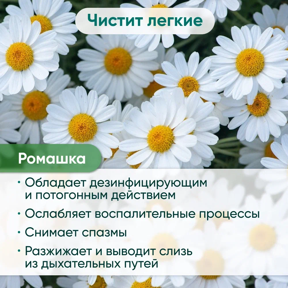 Напиток чайный MILFORD ДЕТОКС в фильтр-пакетах для разовой заварки 20 х 2,0 гр