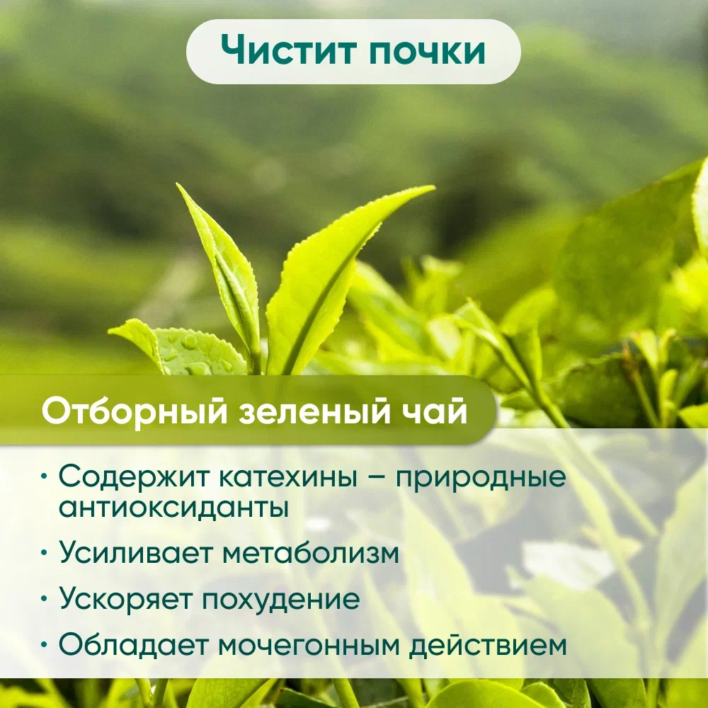 Напиток чайный MILFORD ДЕТОКС в фильтр-пакетах для разовой заварки 20 х 2,0 гр