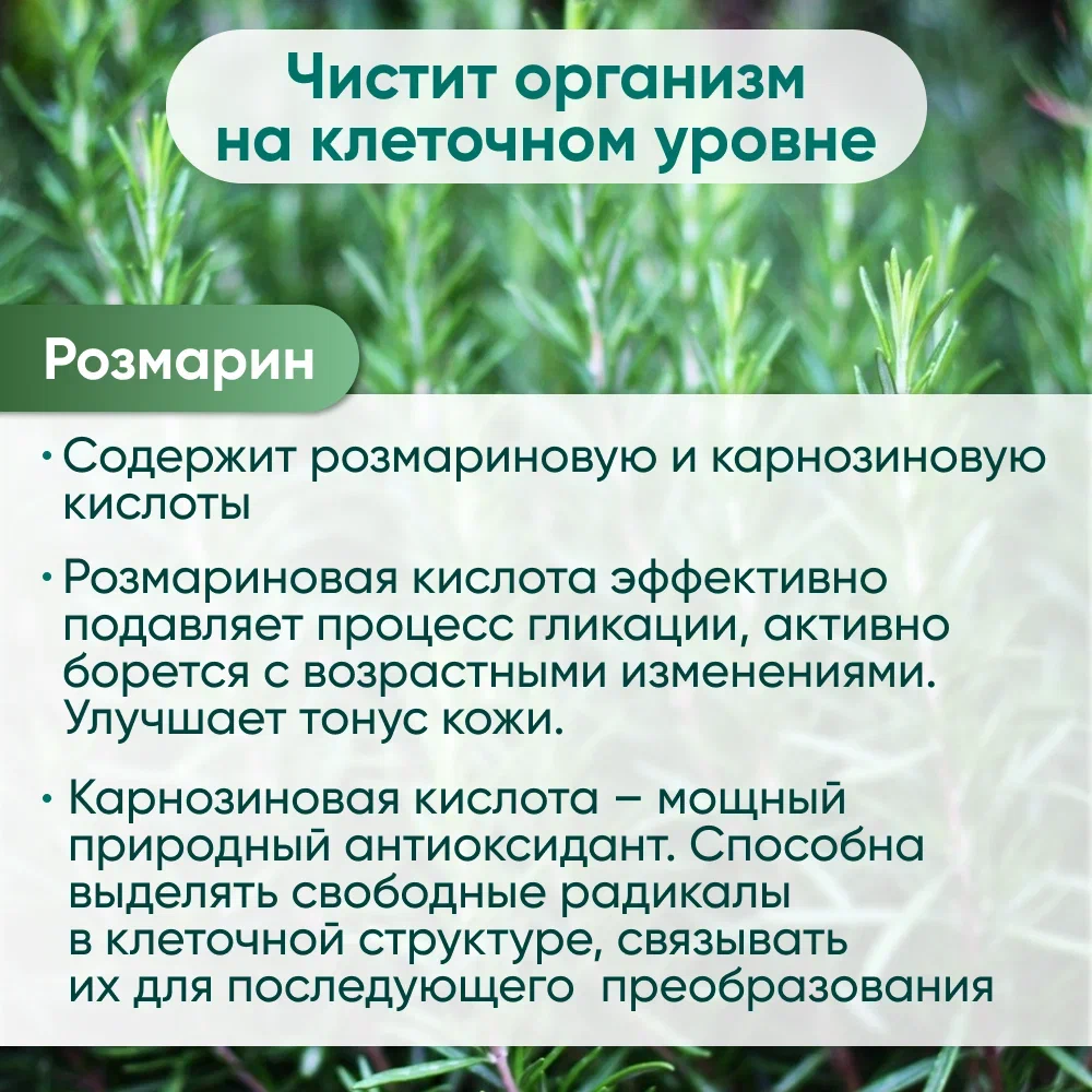 Напиток чайный MILFORD ДЕТОКС в фильтр-пакетах для разовой заварки 20 х 2,0 гр