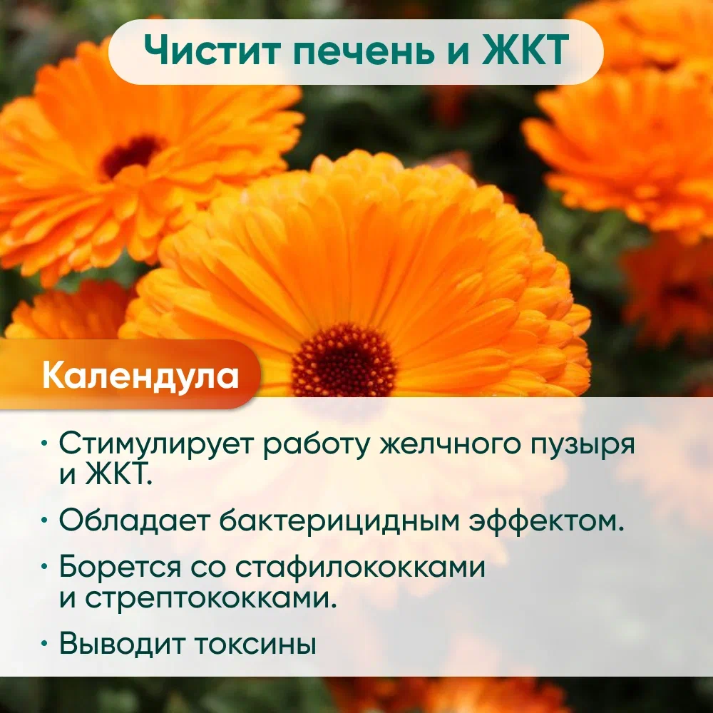 Напиток чайный MILFORD ДЕТОКС в фильтр-пакетах для разовой заварки 20 х 2,0 гр