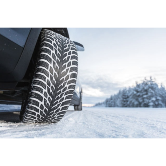 Зимняя шина «Nokian» Tyres Hakkapeliitta R3 SUV, 235/55R20, 102R