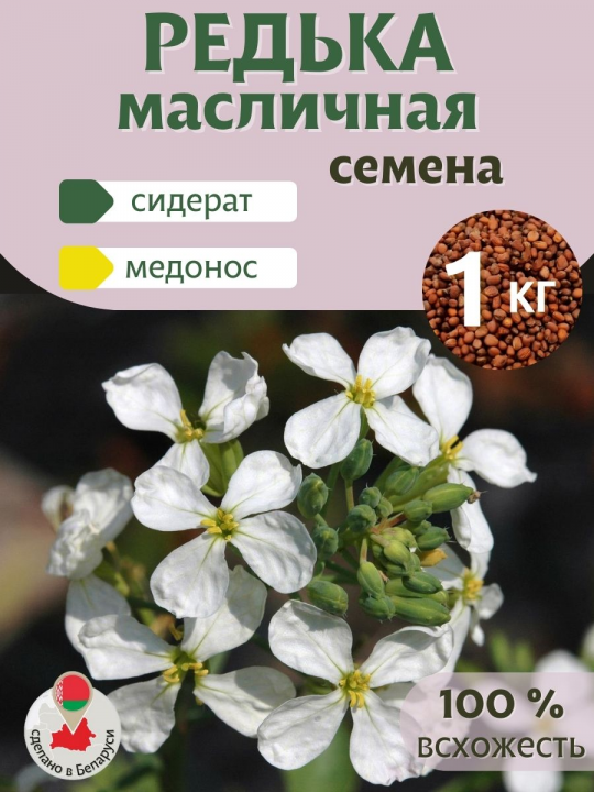 Редька масличная сидерат 1 кг