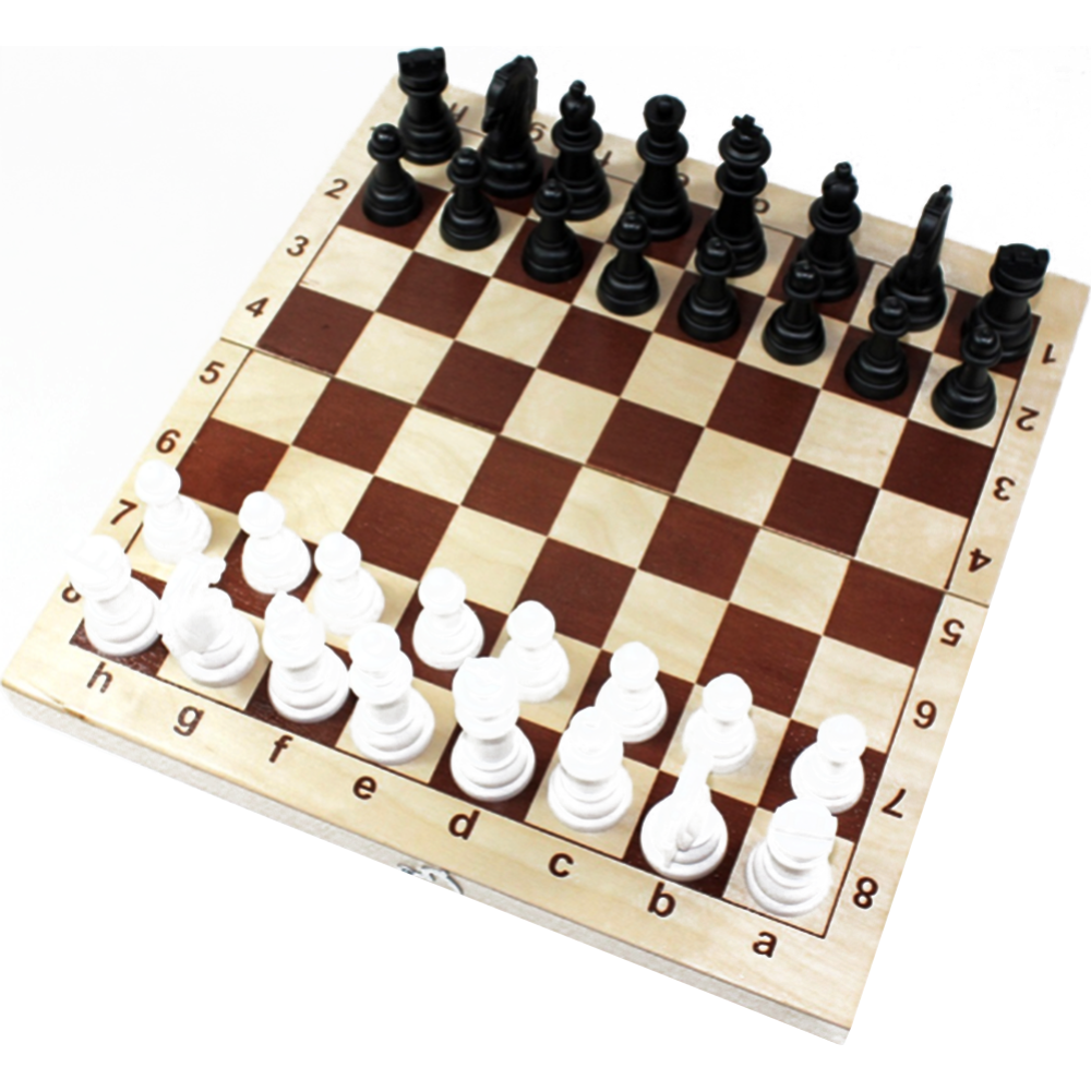 Игра настольная «Шахматы» пластмассовые 