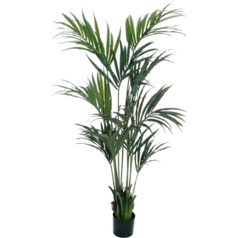 Искусственное растение «Koopman» Пальма Кентия, в горшке, 80-371423, зеленый, 190 см