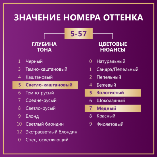 Краска для волос «Палетт» GK4, 5-57 благородный каштан