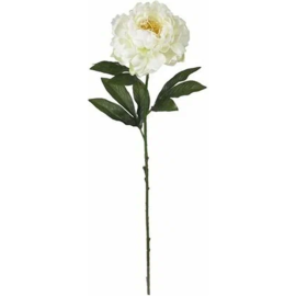 Цветок искусственный «Faktor» Пион, кремовый, 42 см