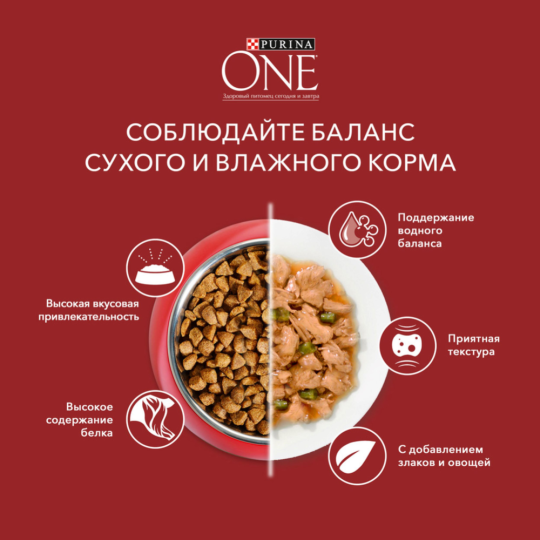 Корм для собак «Purina One» Мини, курица, рис, томат 85 г