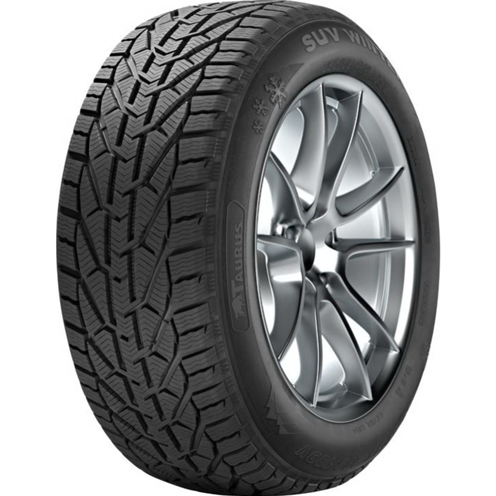 Зимняя шина «Tigar» Winter, 205/55R17, 95V XL