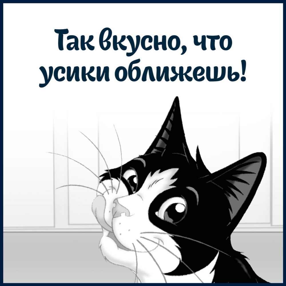 Корм для кошек «Felix Sensations» с индейкой в соусе со вкусом бекона, 75 г #8