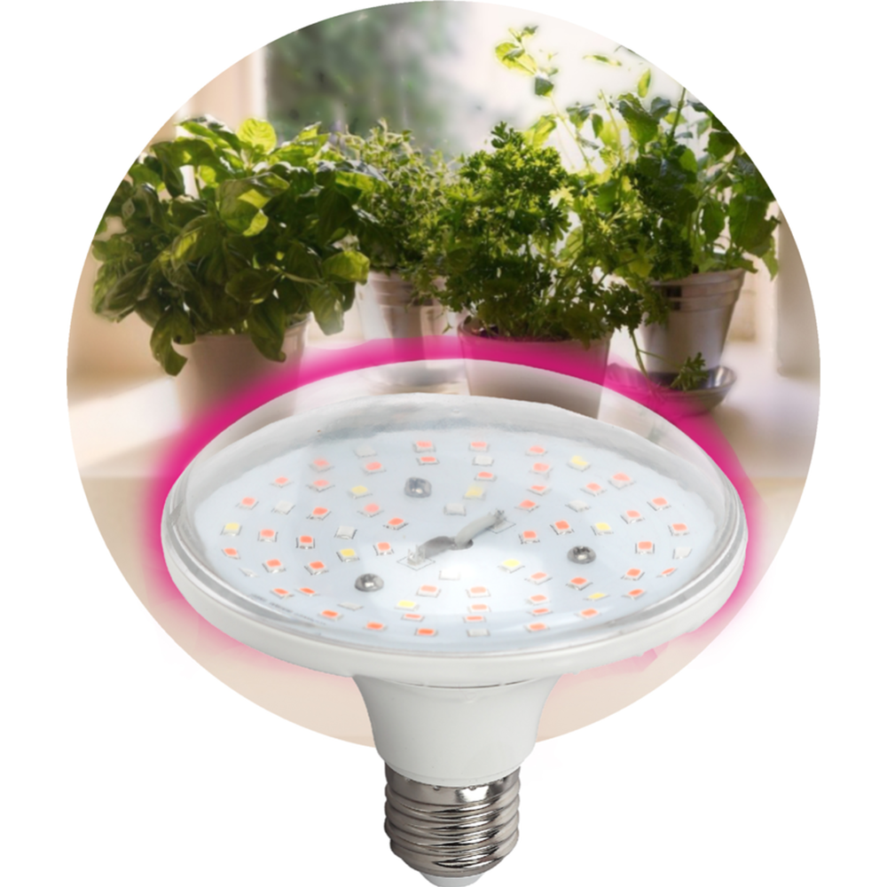 Лампа «ЭРА» LED FITO-18W-RB-E27, Б0049533, красно-синего спектра