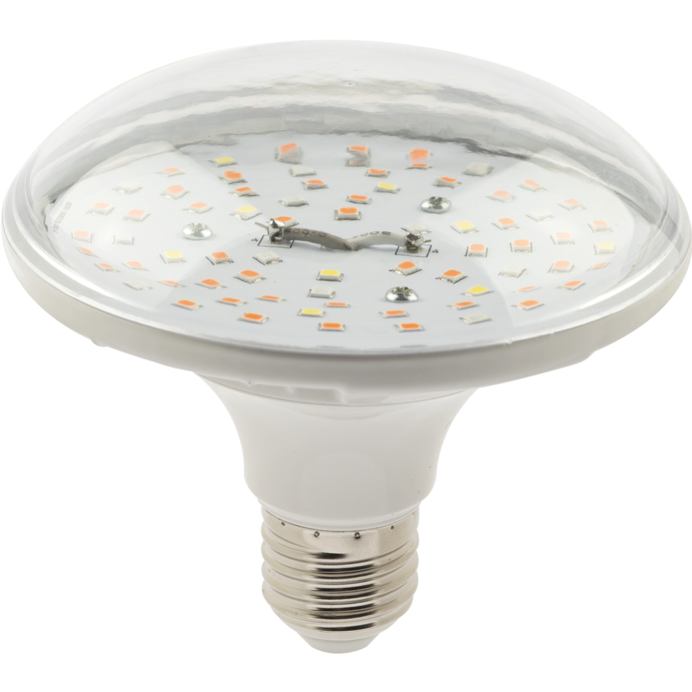 Лампа «ЭРА» LED FITO-18W-RB-E27, Б0049533, красно-синего спектра