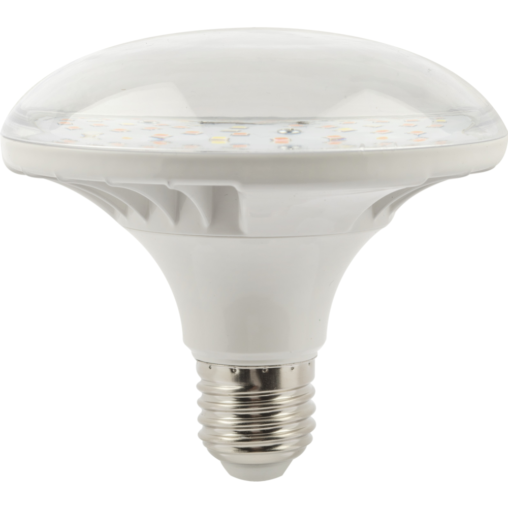 Лампа «ЭРА» LED FITO-18W-RB-E27, Б0049533, красно-синего спектра