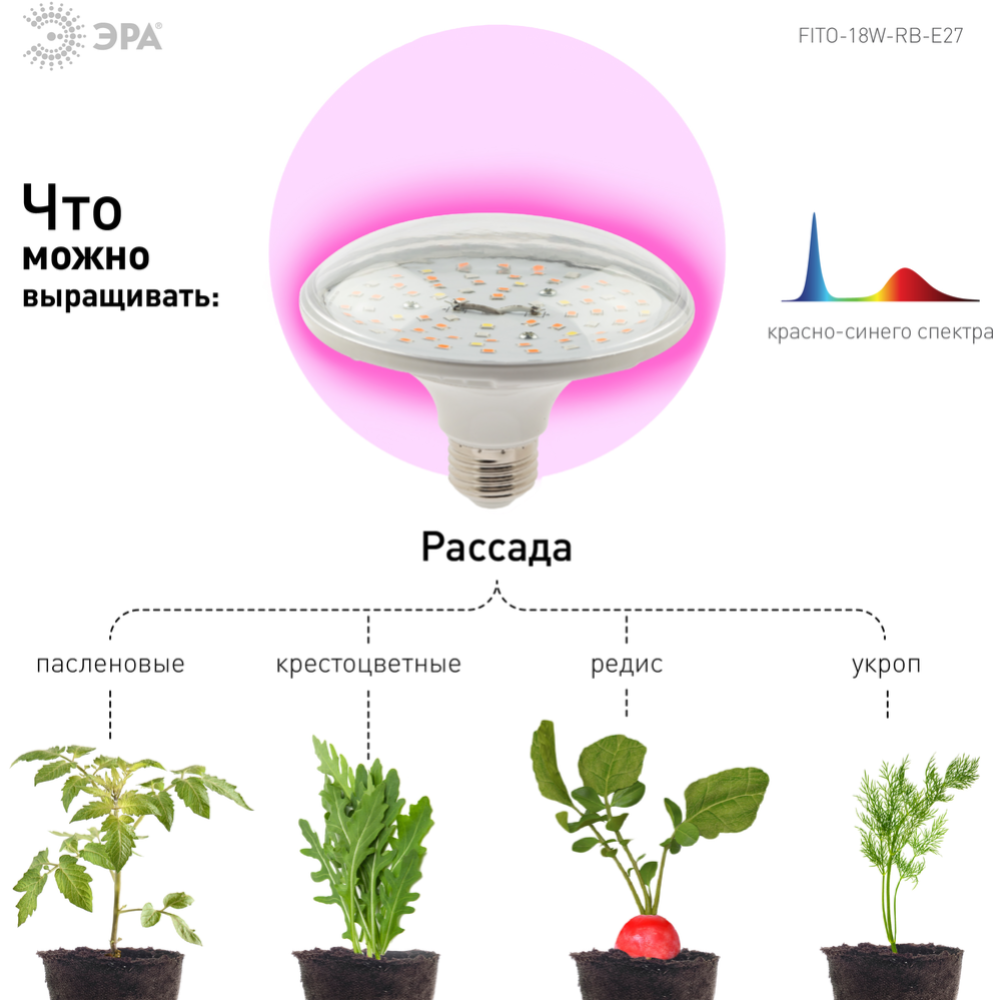 Лампа «ЭРА» LED FITO-18W-RB-E27, Б0049533, красно-синего спектра