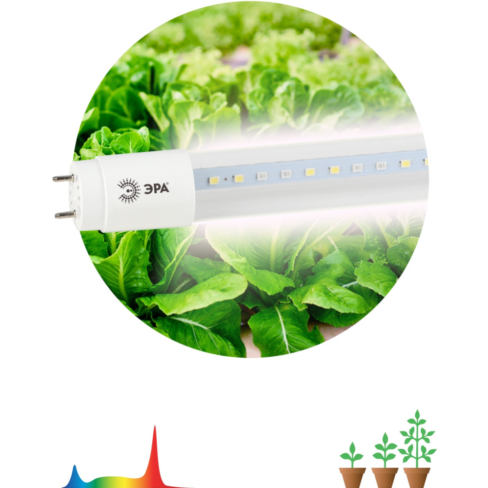 Лампа «ЭРА» LED FITO-9W-Ra90-Т8-G13-NL, Б0042988, полного спектра