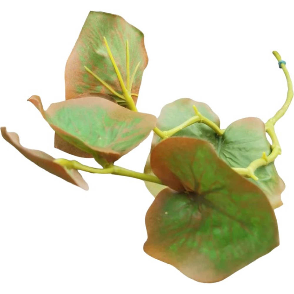 Цветок искусственный «БелаФлора» Бегония лист, 80 см