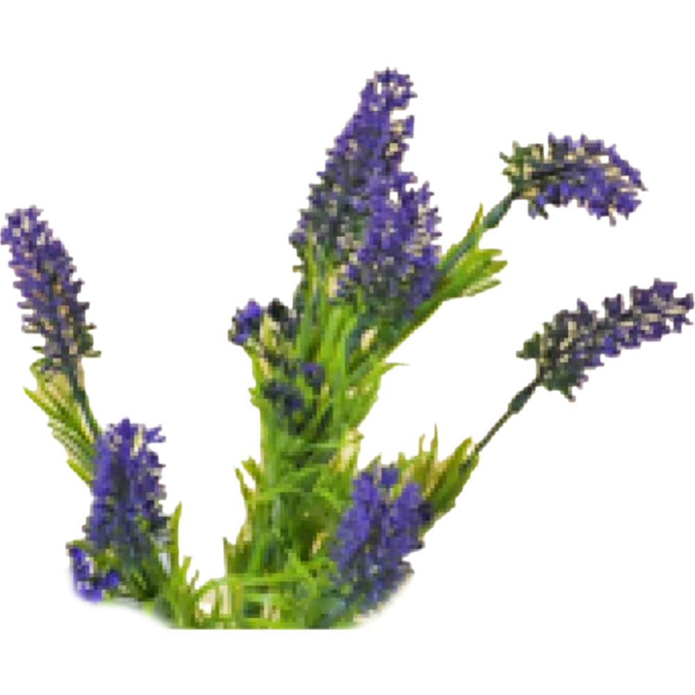 Цветок искусственный «БелаФлора» Лаванда, CV07411-W, 35 см