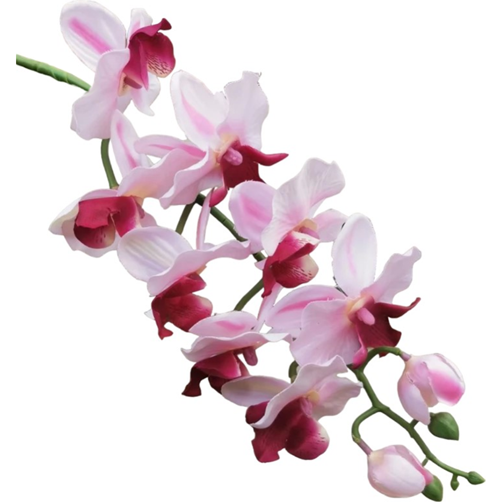 Цветок искусственный «БелаФлора» Орхидея микс, 78 см