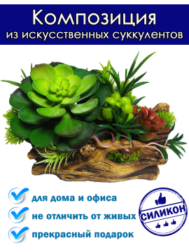 Композиция из искусственных суккулентов