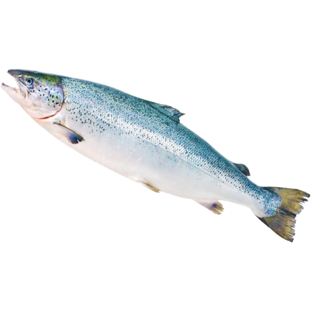 Рыба свежемороженая «РыбаХит» лосось атлантический, 1 кг #0