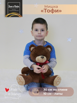 Игрушка детская мягконабивная Медведь Тоффи мальчик 35см
