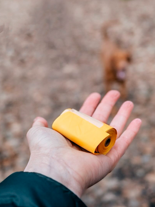 Пакеты из кукурузного крахмала Explorer dog, для выгула собак, 60 шт. (арт. TED0037)